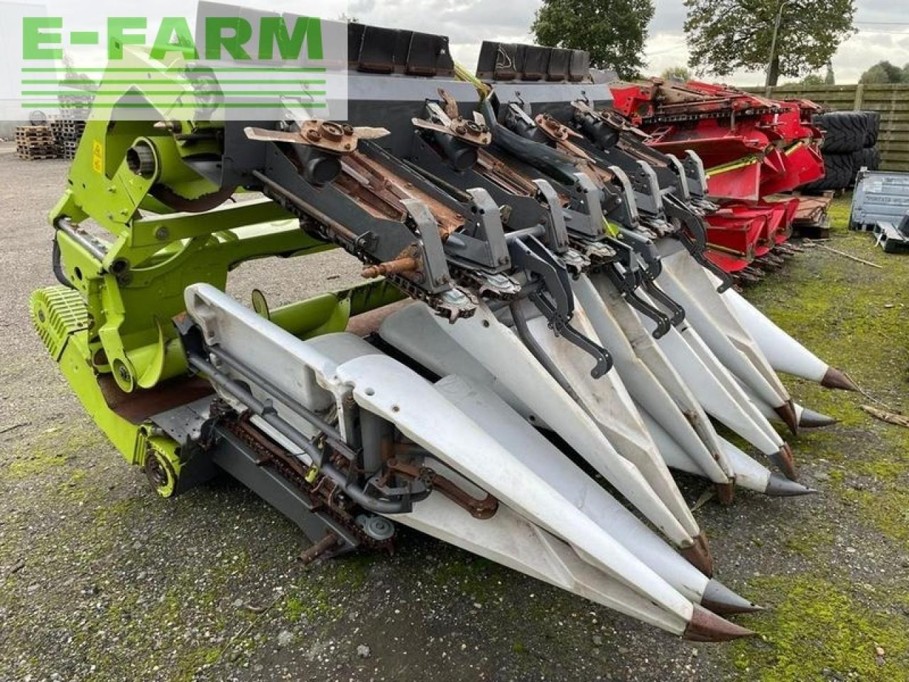 Forage harvester attachment CLAAS conspeed 8-75 8-reihig ez 2016: picture 2
