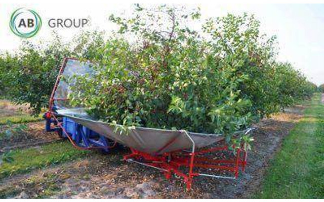 Jagoda urządzenie zbierające wiśnie, śliwki Gacek - Soil tillage equipment: picture 4