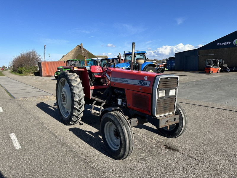 Massey Ferguson 365 - Farm tractor: picture 3