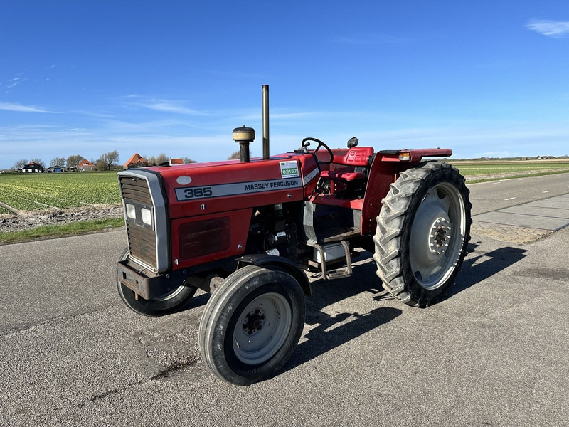Massey Ferguson 365 - Farm tractor: picture 1