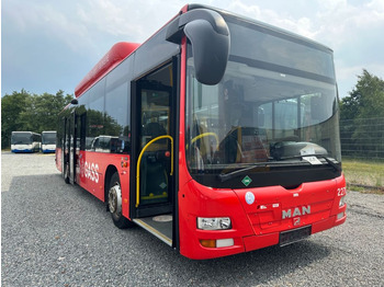 MAN A21/CNG Lion City/530  - City bus