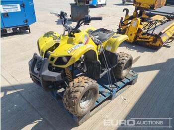 Side-by-side/ ATV 2008 Childs Petrol Quad Bike: picture 1