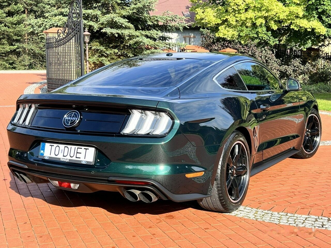 Car Ford Mustang: picture 18