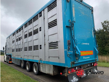 Menke Dyretransport 3 etager = 66,9m3 - Livestock semi-trailer: picture 1