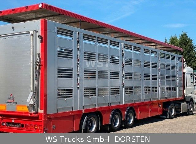 Menke-Janzen 4 Stock Vollalu Typ 2 Lenkachse  - Livestock semi-trailer: picture 2