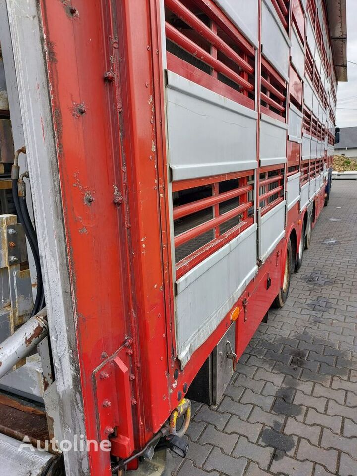 Pezzaioli SBA31 5 poziomów - Livestock semi-trailer: picture 3