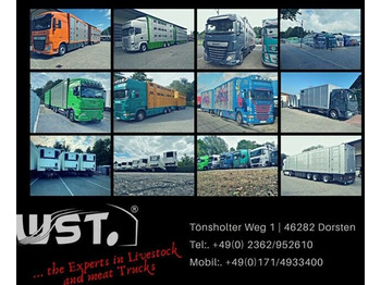 Schmitz Cargobull SKO 24 Vector 1550 Strom/Diesel Doppelstock  - Refrigerator semi-trailer: picture 1