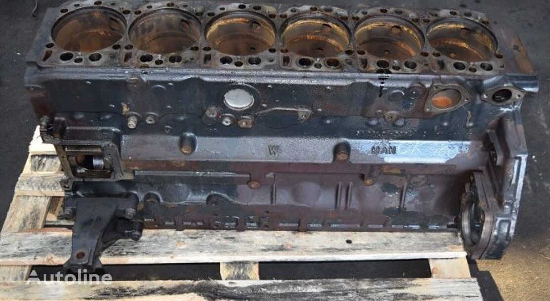 - Cylinder block for Truck: picture 3