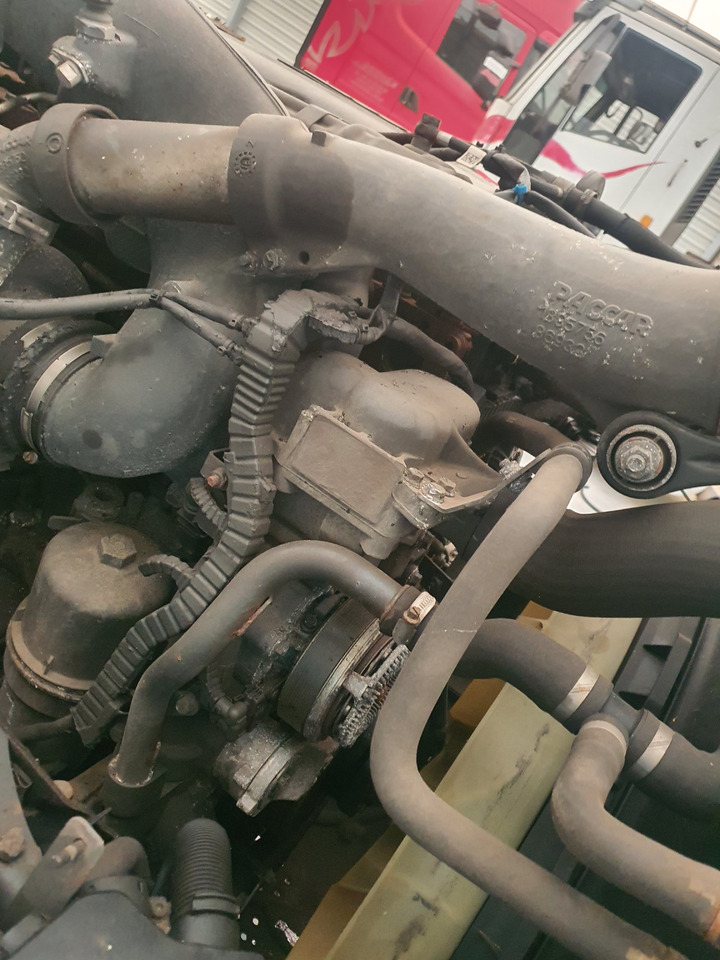 DAF 106 460 euro 6 - Engine for Truck: picture 5