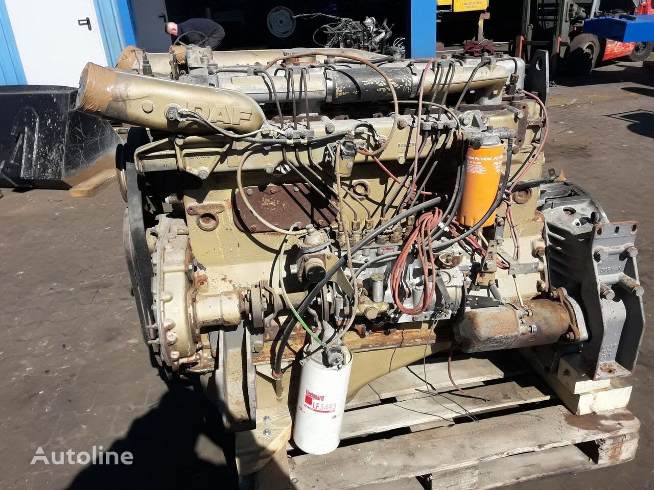 DAF 1160 ATI WS282 350   DAF - Engine for Truck: picture 1