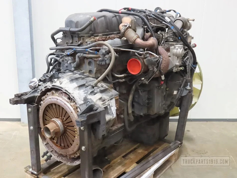 DAF DAF MX13 303 H1 E6 - Engine for Truck: picture 2