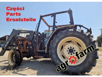 Lamborghini Crono 564-60 - Engine for Farm tractor: picture 1