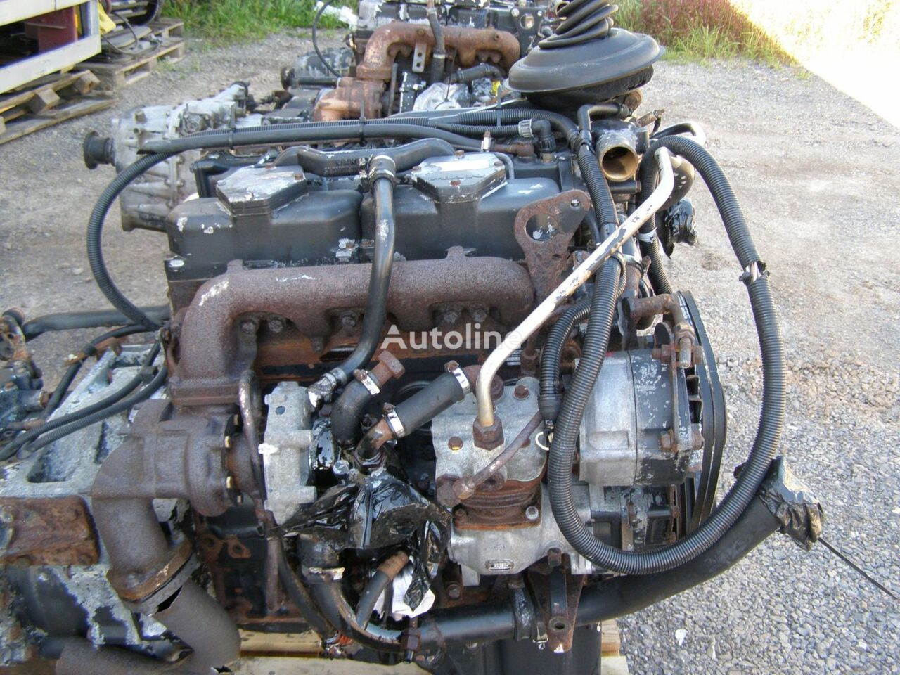 MAN D0824LFL01 155 E2   MAN L2000 - Engine for Truck: picture 2