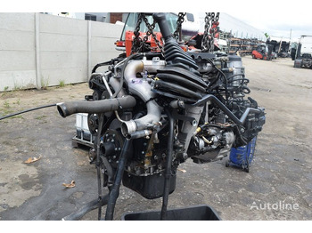 MAN D0834LFL 180 220 E5   MAN TGL - Engine for Truck: picture 1