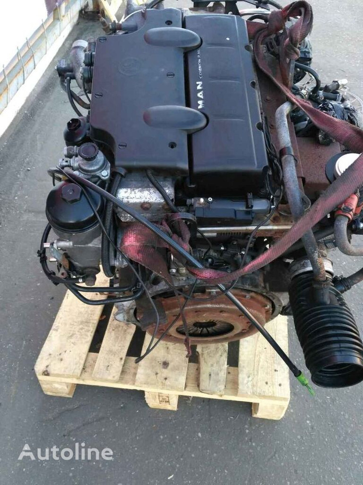 MAN D0834 LFL50-55 E4   MAN TGL - Engine for Truck: picture 2