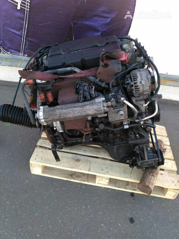 MAN D0834 LFL50-55 E4   MAN TGL - Engine for Truck: picture 3