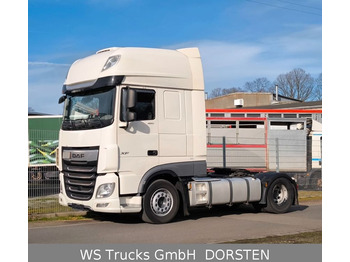 DAF XF 480  FT 4x2 SUPER SPACE CAB STANDKLIMA  - Tractor unit: picture 1