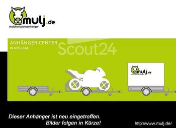 Brenderup Cargo Dynamic CD300TBR2000 Rampe, Kofferanhänger 2,0 to. 300x153x185cm - Closed box trailer: picture 1
