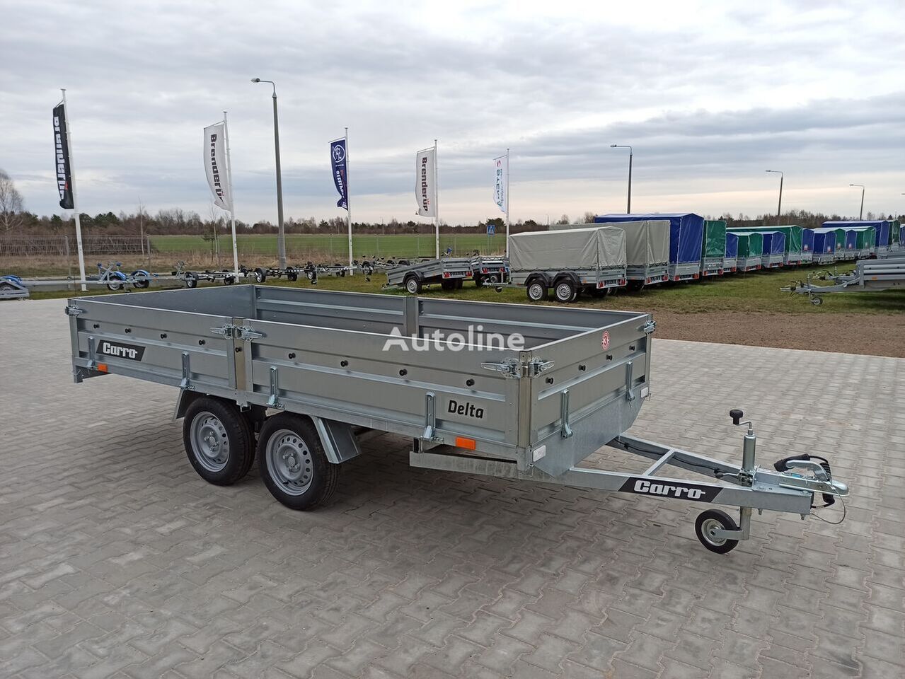 Carro Delta 350x150 cm 2 osie przyczepa skrzyniowa platforma - Car trailer: picture 3