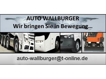 Obermaier TANDEM Z.B.  STAHL  / KUNSTOFF PROFILE Transport  - Curtainsider trailer