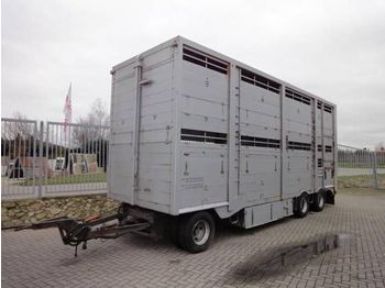 Closed box trailer for transportation of animals Finkl Doppelstock , Kette , 3 Achsen: picture 1