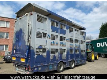 Livestock trailer Finkl Tandem Hubdach 3 Stock: picture 1