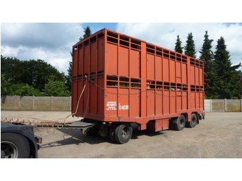 Closed box trailer for transportation of animals Gheysen en Verpoort 3-asser voor 2 lagen rundere: picture 1