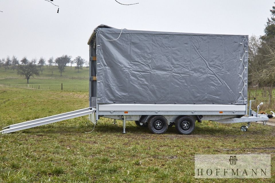 HAPERT Hapert AZURE Hochlader Multi  405x200x200 cm 3500 kg Parabel - Curtainsider trailer: picture 2