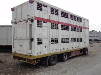 Closed box trailer for transportation of animals KABA 3 Stock Spindel    40km/H: picture 1