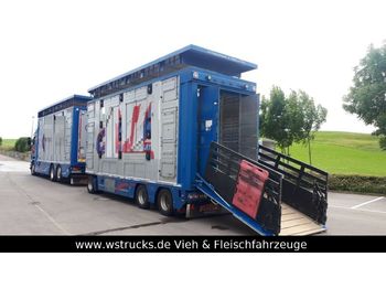 Finkl 3 Stock Ausahrbares Dach Vollalu Typ 2  - Livestock trailer