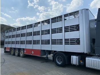 LeciTrailer 3E20 Tier- Viehtransport 3 Achse 3 Stock  - Livestock trailer