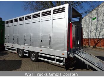 Menke-Janzen BDF Menke Einstock "Neu"Sofort  - Livestock trailer