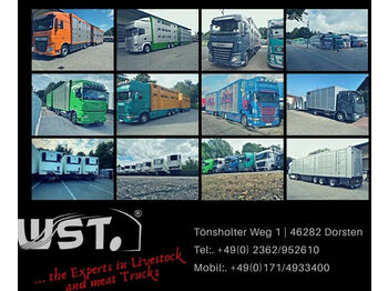 Menke-Janzen Menke 3 Stock   Vollalu  Lüfter  - Livestock trailer