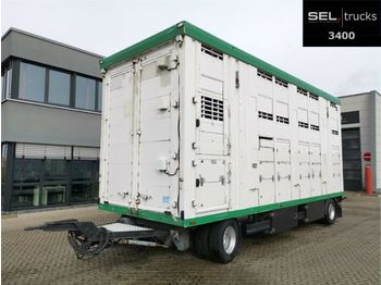 Pezzaioli Menke-Janzen / 3 Stock / Hubdach  - Livestock trailer