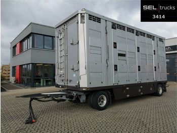 Pezzaioli Menke-Janzen / 3 Stock / Hubdach / Alu-Felgen  - livestock trailer