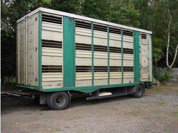 Closed box trailer for transportation of animals Menke Dreistock Durchladen Hubdach Top: picture 1