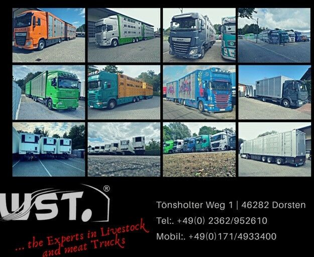 New Dropside/ Flatbed trailer WST Edition Pritschenhochlader Tandem NEU: picture 7