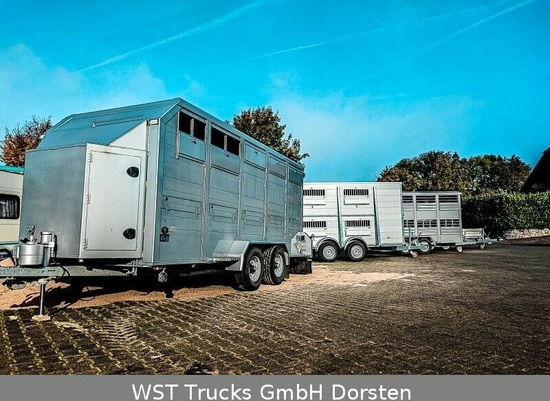 New Livestock trailer WST Edition  Voll ALU "NEU" Viehanhänger 3,5to: picture 7