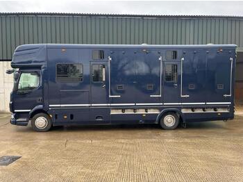 Horse truck 2012 Daf 4x2 rigid with Oakley horse body LF45: picture 1