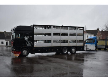 Livestock truck DAF AS48XS: picture 1