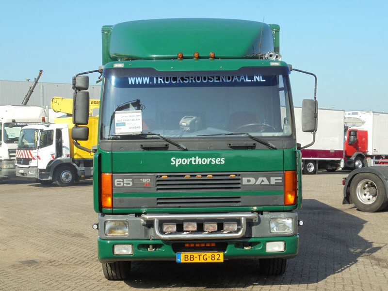 DAF CF 65 .180 ATI + Manual + Horse transport - Horse truck: picture 2