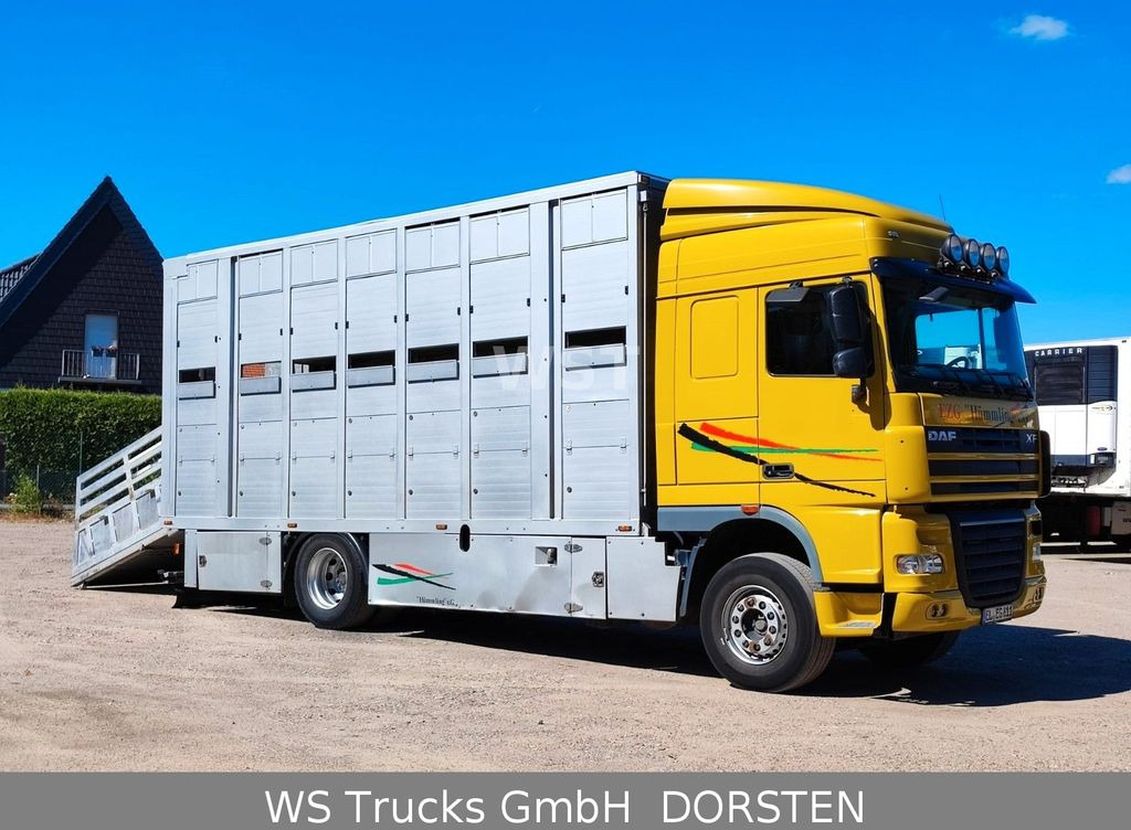 DAF XF 410 SC Menke Doppelstock  - Livestock truck: picture 3