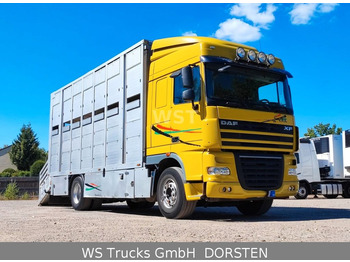 DAF XF 410 SC Menke Doppelstock  - Livestock truck: picture 1