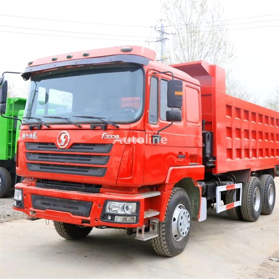 F3000 6x4 drive tipper truck lorry dumper - Tipper: picture 2