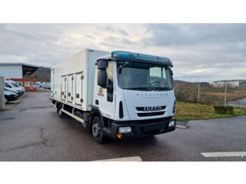 IVECO Eurocargo 120 E 22 - Refrigerator truck: picture 1