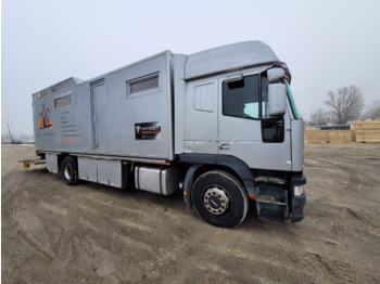 IVECO Eurocargo 190 E 38 - horse transporter - Horse truck: picture 1