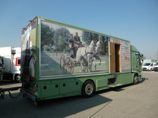 Iveco Stralis Spezialkraftwagen Pferdetransport - Horse truck: picture 4