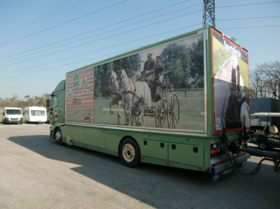 Iveco Stralis Spezialkraftwagen Pferdetransport - Horse truck: picture 5