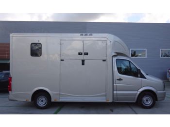 Hyundai H350 , Box f. 2 Pferde  - Livestock truck