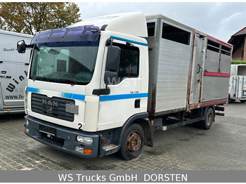 MAN 7.150 Einstock , Großvieh , Schweine  - Livestock truck: picture 1